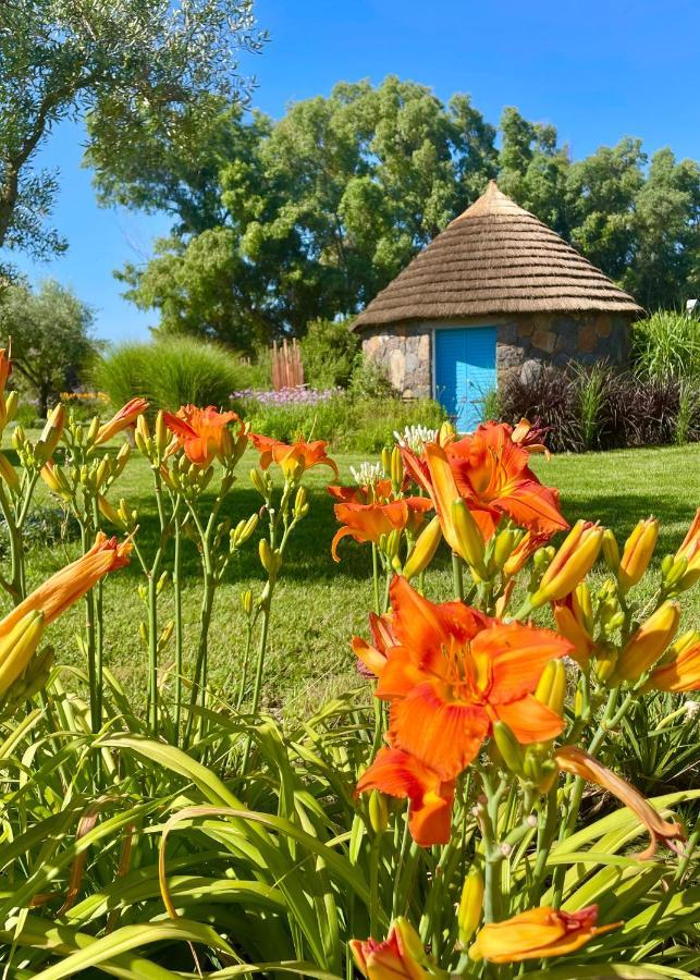 Is Cheas Wine Farm Boutique Hotel San Vero Milis 外观 照片