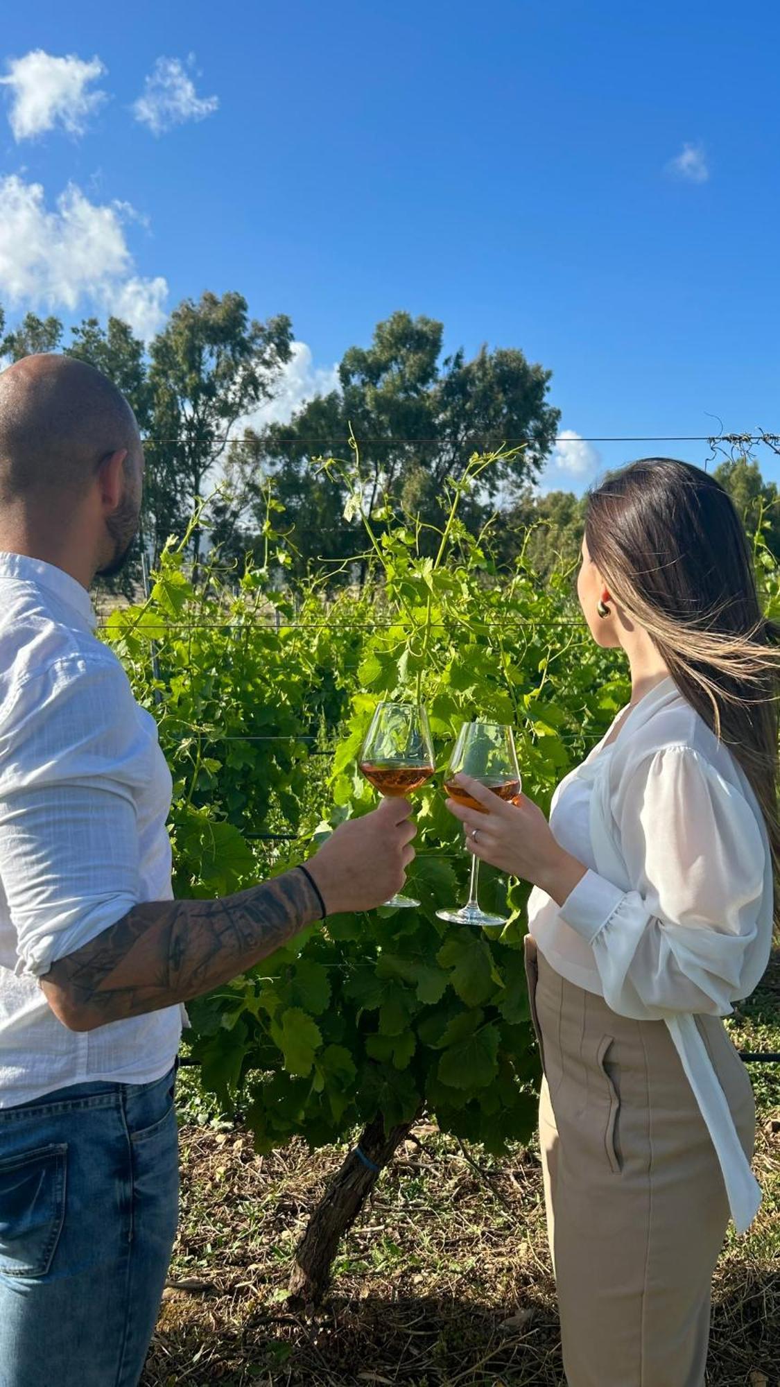 Is Cheas Wine Farm Boutique Hotel San Vero Milis 外观 照片