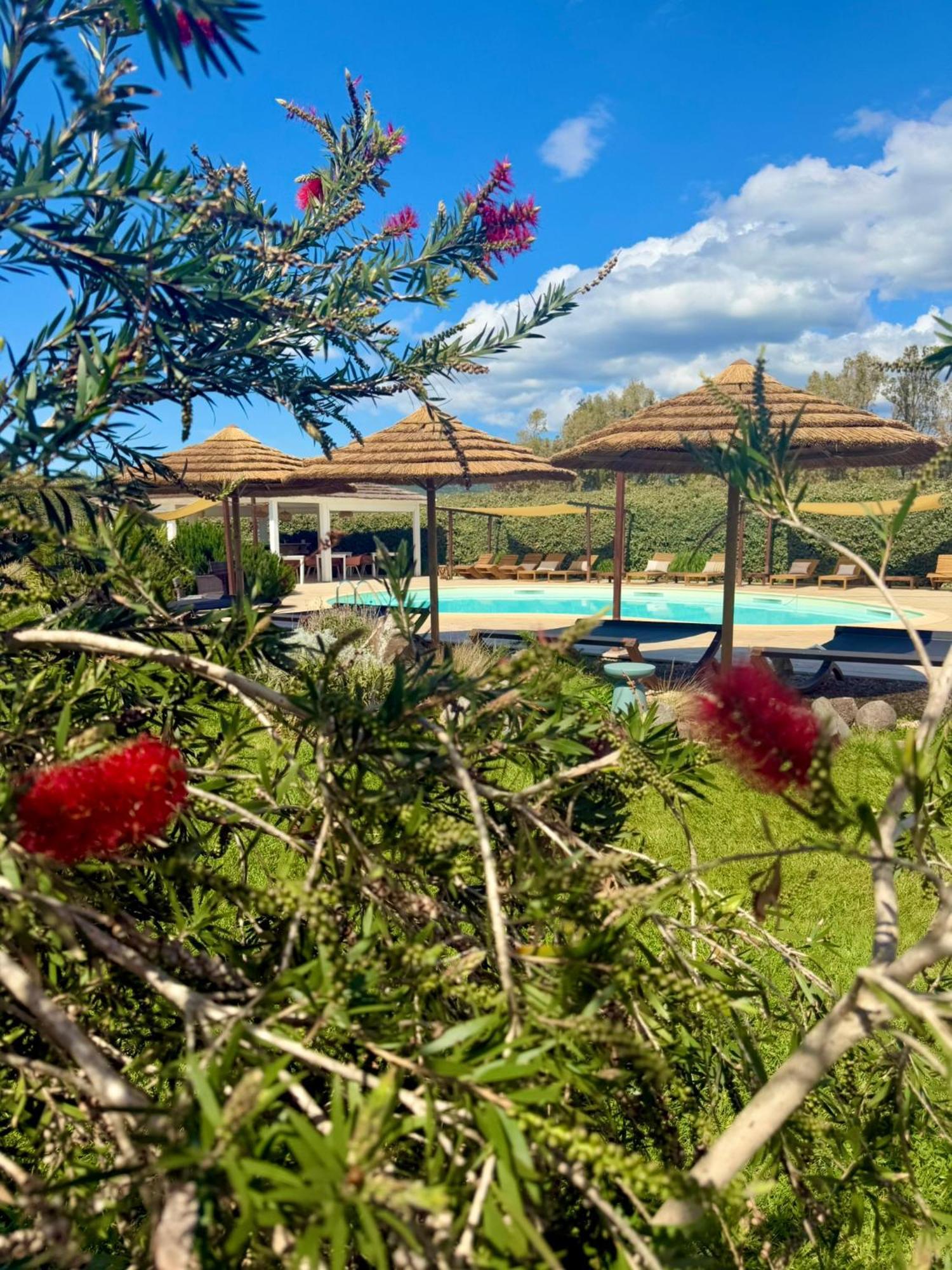Is Cheas Wine Farm Boutique Hotel San Vero Milis 外观 照片